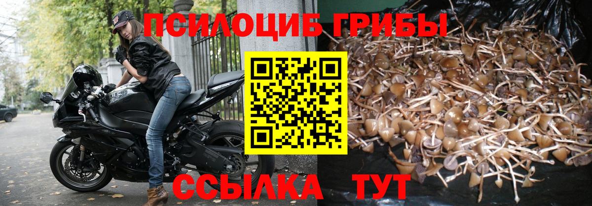 Псилоцибиновые грибы GOLDEN TEACHER  Галлюциногенные грибы Psilocybe  Вход с VPN  Лянтор 