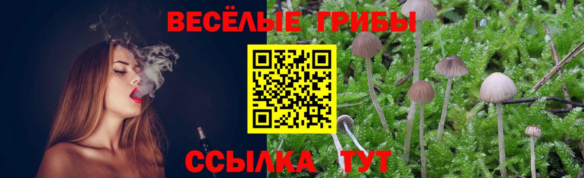 Галлюциногенные грибы Psilocybine cubensis Лянтор